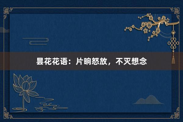 昙花花语：片晌怒放，不灭想念