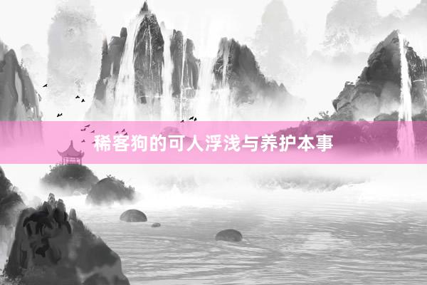 稀客狗的可人浮浅与养护本事